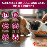 VET PROMISE - Vet Promise Urinary Tract Infection Treatments with Cranberry 2 Fl.Oz. - The Red Vitamin MX - Salud De Tracto Urinario Para Perros - {{ shop.shopifyCountryName }}