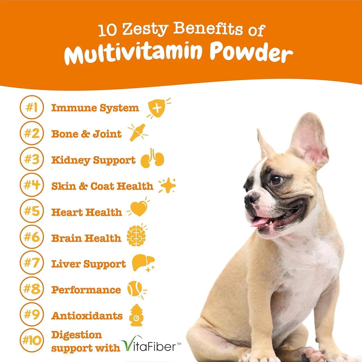 ZESTY PAWS - Zesty Paws 10-in-1 Multivitamin Powder for Dogs Salmon Flavor 30 Paquetes - The Red Vitamin MX - Multivitamínicos Para Perros - {{ shop.shopifyCountryName }}
