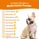 ZESTY PAWS - Zesty Paws 10-in-1 Multivitamin Powder for Dogs Salmon Flavor 30 Paquetes - The Red Vitamin MX - Multivitamínicos Para Perros - {{ shop.shopifyCountryName }}