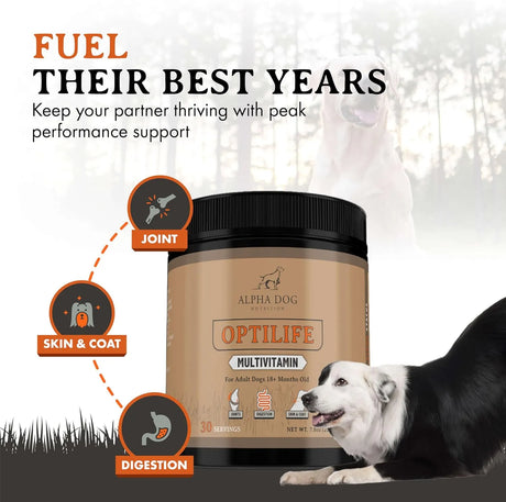 ALPHA DOG NUTRITION - Alpha Dog Nutrition OptiLife Dog Multivitamin Powder 60 Servicios 444Gr. - The Red Vitamin MX - Multivitamínicos Para Perros - {{ shop.shopifyCountryName }}