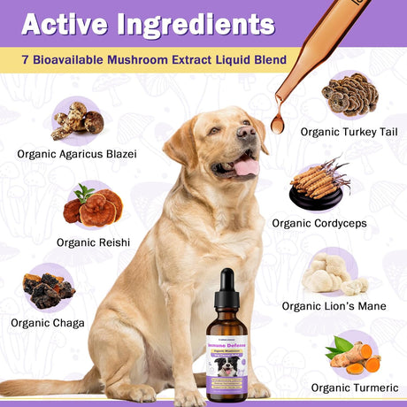 UNIPOMME - Unipomme Immune Support 2 Fl.Oz. - The Red Vitamin MX - Suplementos Herbales Para Perros - {{ shop.shopifyCountryName }}