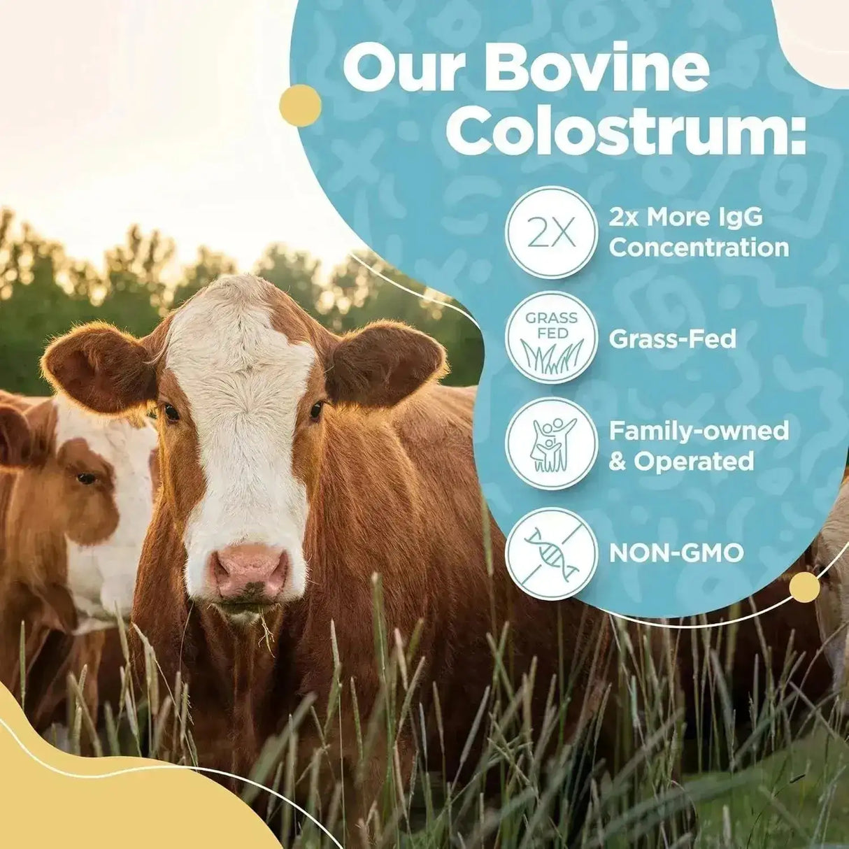 INSTASKINCARE - InstaSkincare Bovine Colostrum Powder Unflavored 60 Servicios - The Red Vitamin MX - Suplementos Alimenticios - {{ shop.shopifyCountryName }}