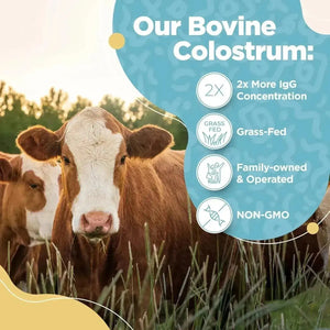 INSTASKINCARE - InstaSkincare Bovine Colostrum Powder Unflavored 60 Servicios - The Red Vitamin MX - Suplementos Alimenticios - {{ shop.shopifyCountryName }}