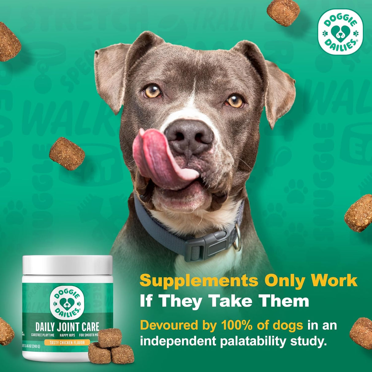 Doggie Dailies Daily Joint Care Glucosamine for Dogs Chicken 225 Masticables