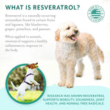 PETHRIVE - PetThrive Dog Hip and Joint Support Soft Chews Small Breed 120 Masticables - The Red Vitamin MX - Cuidado De Cadera Y Articulaciones Para Perros - {{ shop.shopifyCountryName }}