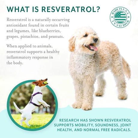 PETHRIVE - PetThrive Dog Hip and Joint Support Soft Chews Small Breed 120 Masticables - The Red Vitamin MX - Cuidado De Cadera Y Articulaciones Para Perros - {{ shop.shopifyCountryName }}