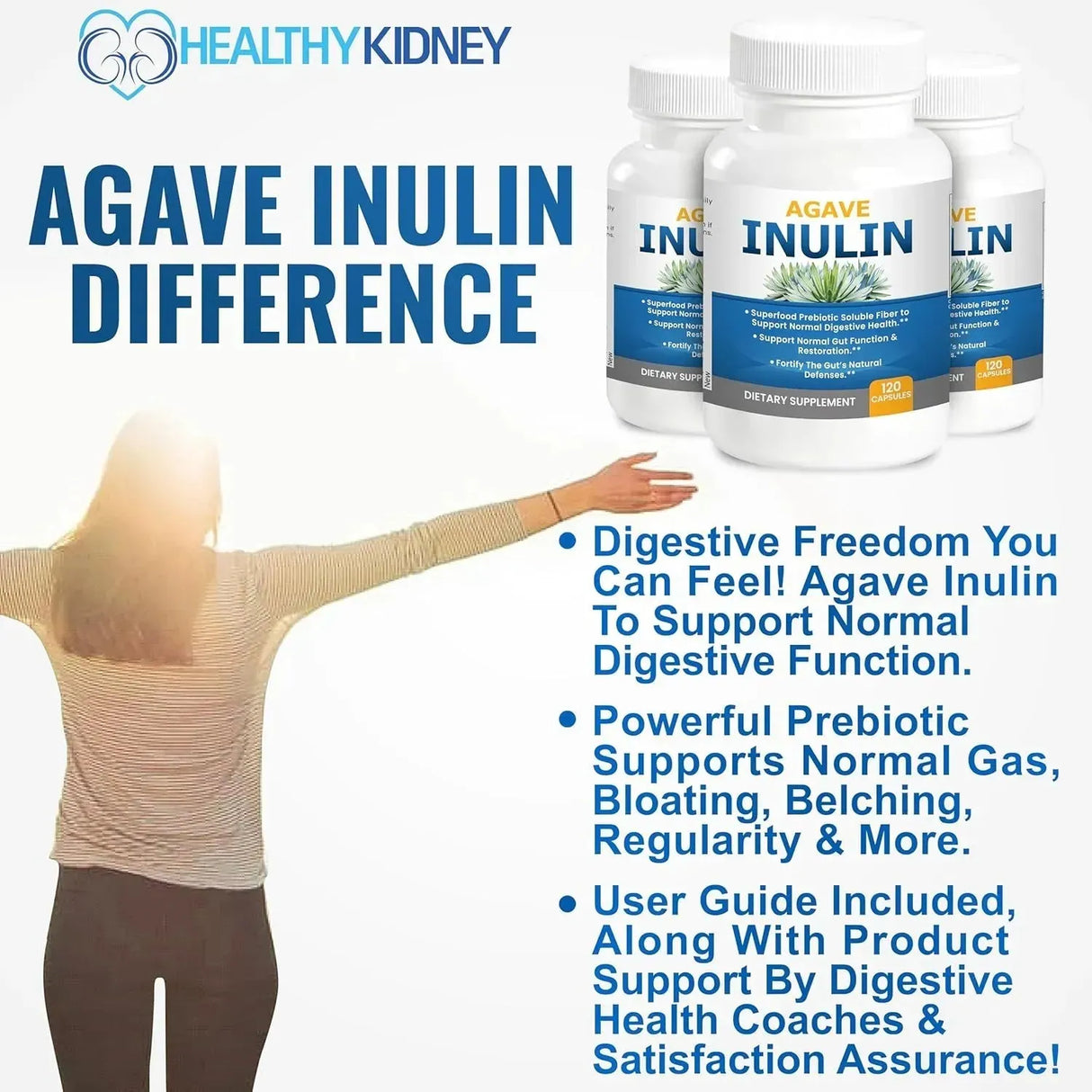 KIDNEY RESTORE - Kidney Restore Agave Inulin 120 Capsulas - The Red Vitamin MX - Suplementos Alimenticios - {{ shop.shopifyCountryName }}