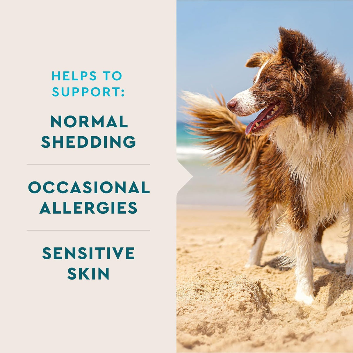 VetIQ Skin and Coat Supplement for Dogs 60 Masticables