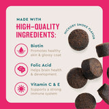 VETIQ - VetIQ Multivitamin Supplement for Dogs Hickory Smoke Flavored 60 Masticables - The Red Vitamin MX - Multivitamínicos Para Perros - {{ shop.shopifyCountryName }}