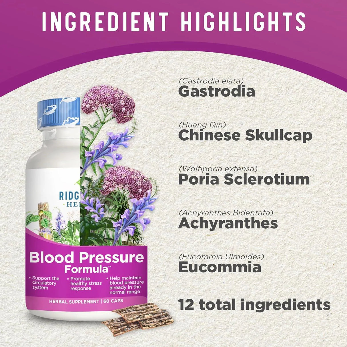 RIDGECREST HERBALS - RidgeCrest Herbals Blood Pressure Herbal Formula 60 Capsulas - The Red Vitamin MX - Suplementos Alimenticios - {{ shop.shopifyCountryName }}