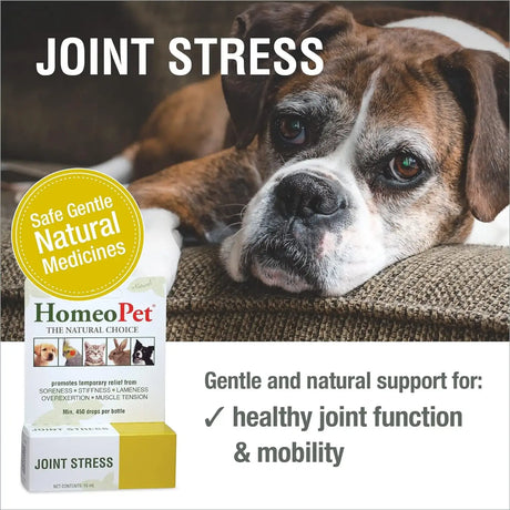 HOMEOPET - HomeoPet Joint Stress Joint Support for Dogs and Cats 15Ml. - The Red Vitamin MX - Cuidado De Cadera Y Articulaciones Para Perros - {{ shop.shopifyCountryName }}