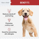 CHEW + HEAL - Chew + Heal Labs Omega Treats for Skin and Coat Bacon Flavor 180 Masticables 2 Pack - The Red Vitamin MX - Aceite De Pescado Para Perros - {{ shop.shopifyCountryName }}