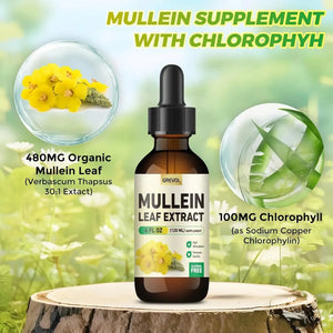 GREVOL - Grevol Mullein Drops for Lungs 4 Fl.Oz. - The Red Vitamin MX - Suplementos Alimenticios - {{ shop.shopifyCountryName }}