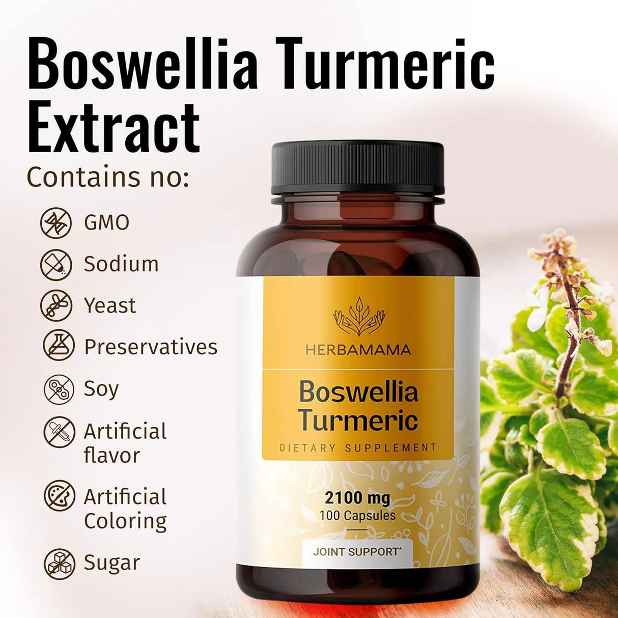 HERBAMAMA - HERBAMAMA Boswellia Turmeric 2100Mg. 100 Capsulas - The Red Vitamin MX - Suplementos Alimenticios - {{ shop.shopifyCountryName }}