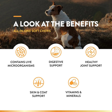 NATURVET - NaturVet All-in-One Dog Supplement 240 Masticables - The Red Vitamin MX - Multivitamínicos Para Perros - {{ shop.shopifyCountryName }}