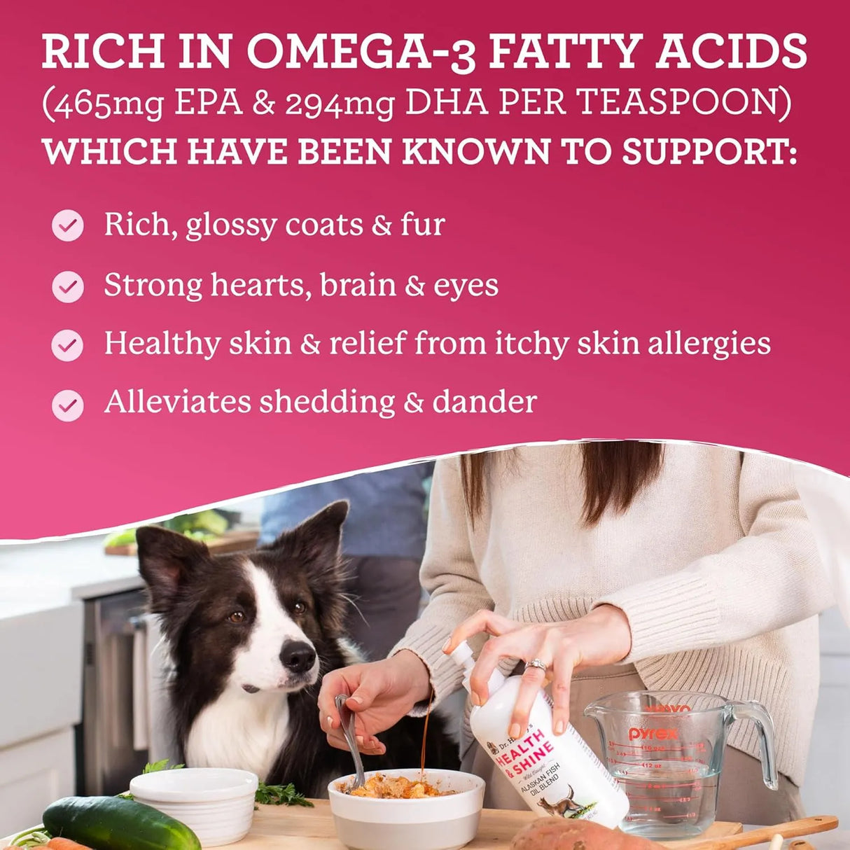 DR. HARVEY'S - Dr. Harvey's Health & Shine Alaskan Fish Oil Blend for Dogs 16 Fl.Oz. - The Red Vitamin MX - Aceite De Pescado Para Perros - {{ shop.shopifyCountryName }}