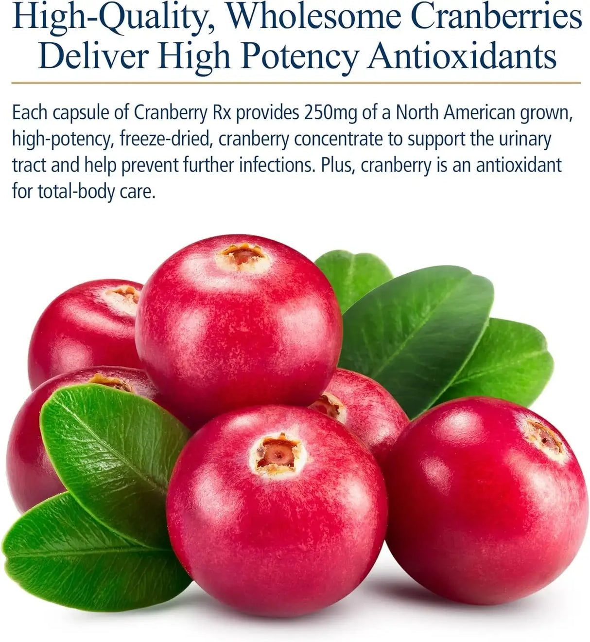 RX VITAMINS - Rx Vitamins Cranberry Pills for Dogs 90 Capsulas - The Red Vitamin MX - Salud De Tracto Urinario Para Perros - {{ shop.shopifyCountryName }}
