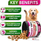 VET PROMISE - Vet Promise Dog UTI Treatment 120 Masticables - The Red Vitamin MX - Salud De Tracto Urinario Para Perros - {{ shop.shopifyCountryName }}