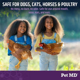 PET MD - Pet MD All-in-One Derm Care Hypochlorous Acid Spray for Dogs & All Pets 4 Fl.Oz. - The Red Vitamin MX - Remedios Para La Picazón De Perros - {{ shop.shopifyCountryName }}