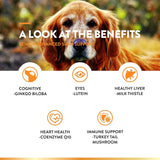 NATURVET - NaturVet Senior Advanced 5-in-1 Support Dog 60 Masticables - The Red Vitamin MX - Multivitamínicos Para Perros - {{ shop.shopifyCountryName }}