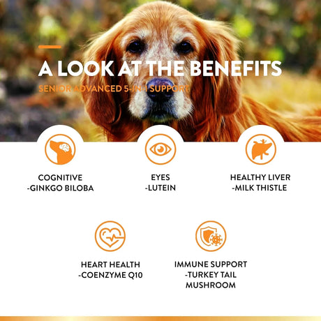 NATURVET - NaturVet Senior Advanced 5-in-1 Support Dog 60 Masticables - The Red Vitamin MX - Multivitamínicos Para Perros - {{ shop.shopifyCountryName }}