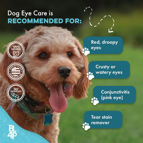 BESTLIFE4PETS - BestLife4Pets Dog Eye Care & Infection Treatment 400 Pastillas - The Red Vitamin MX - Cuidado De Los Ojos De Los Perros - {{ shop.shopifyCountryName }}