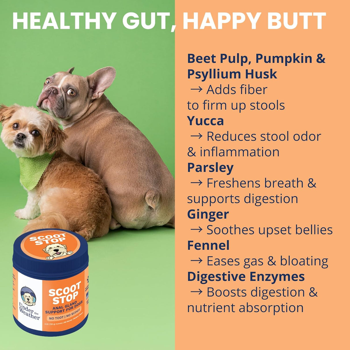 Under The Weather Scoot Stop Chews for Dogs 60 Masticables