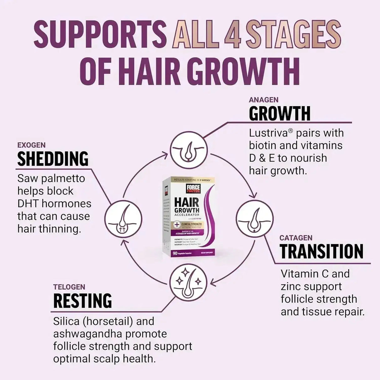 FORCE FACTOR - FORCE FACTOR Hair Growth Accelerator 90 Capsulas - The Red Vitamin MX - Suplementos Alimenticios - {{ shop.shopifyCountryName }}