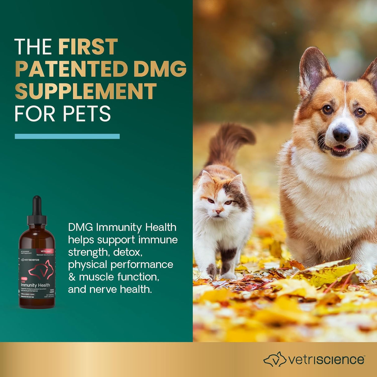 VETRISCIENCE DMG Immunity Health Easy-Dose Liquid 114Ml.