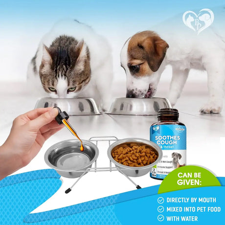 BELOVED PETS - Beloved Pets Kennel Cough Treatment & Natural Infection Medicine for Dogs & Cats 2 Fl.Oz. - The Red Vitamin MX - Medicamentos Sin Receta Para Perros - {{ shop.shopifyCountryName }}