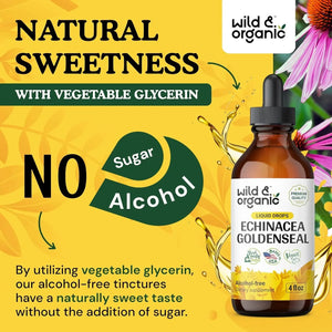 WILD & ORGANIC - Wild & Organic Echinacea Goldenseal Tincture 4 Fl.Oz. - The Red Vitamin MX - Suplementos Alimenticios - {{ shop.shopifyCountryName }}