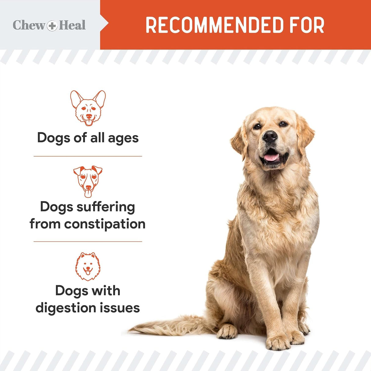 Chew + Heal Labs Organic Pumpkin Powder for Dogs 16 Oz.