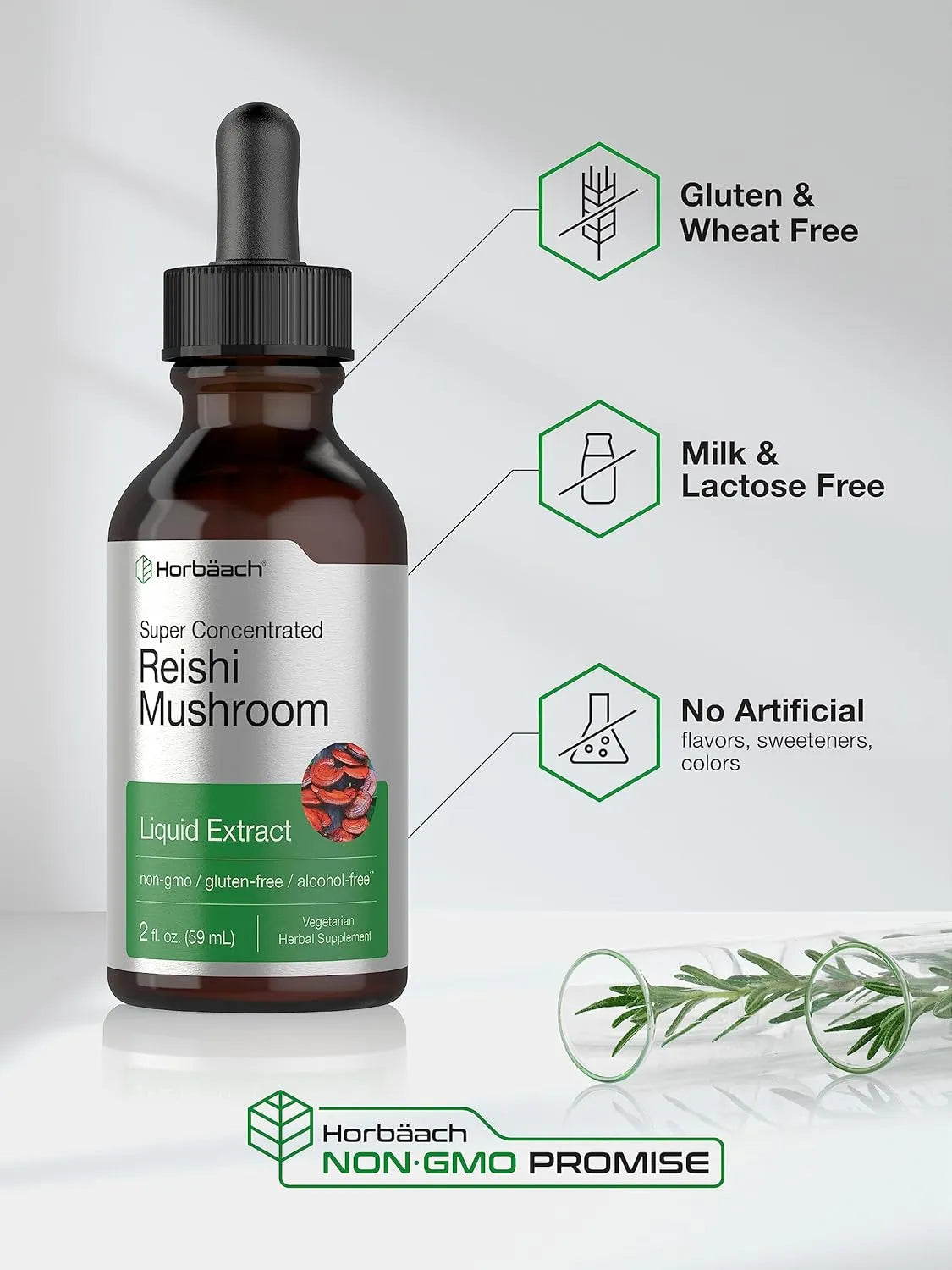 HORBAACH - Horbaach Reishi Mushroom Extract Tincture 2 Fl.Oz. - The Red Vitamin MX - Suplementos Alimenticios - {{ shop.shopifyCountryName }}