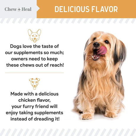 CHEW + HEAL - Chew + Heal Labs Omega Treats for Skin and Coat Chicken Flavor 180 Masticables - The Red Vitamin MX - Aceite De Pescado Para Perros - {{ shop.shopifyCountryName }}