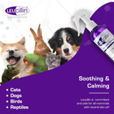 Leucillin Natural Antiseptic Spray for Dogs 150Ml.