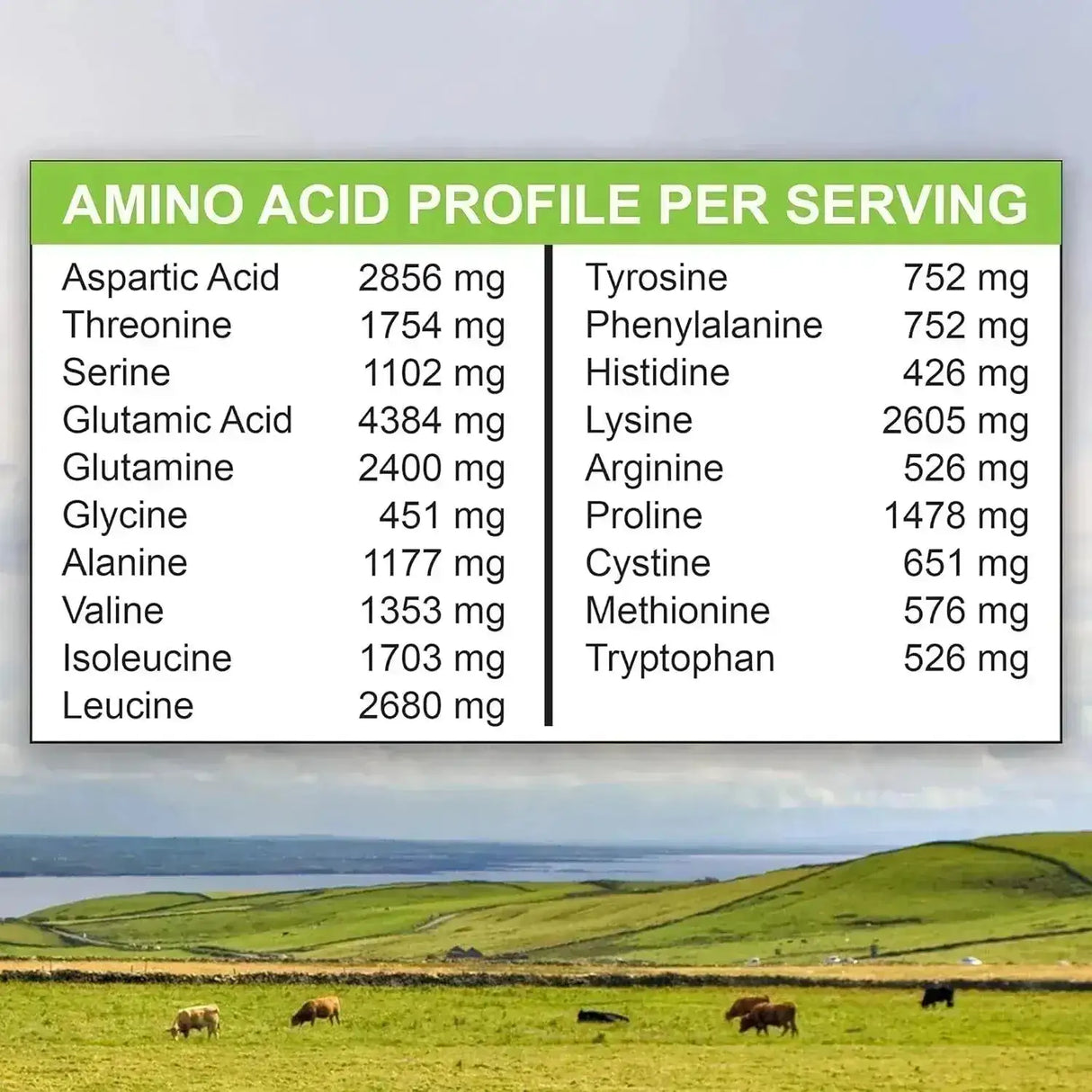 MARIGOLD - MariGold Grass-fed Whey Protein Isolate Powder Creamy Vanilla 454Gr. - The Red Vitamin MX - Suplementos Alimenticios - {{ shop.shopifyCountryName }}