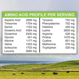 MARIGOLD - MariGold Grass-fed Whey Protein Isolate Powder Creamy Vanilla 454Gr. - The Red Vitamin MX - Suplementos Alimenticios - {{ shop.shopifyCountryName }}