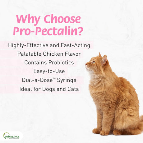 VETOQUINOL - Vetoquinol Pro-Pectalin Oral Paste for Dogs & Cats 30cc - The Red Vitamin MX - Probióticos Para Perros - {{ shop.shopifyCountryName }}