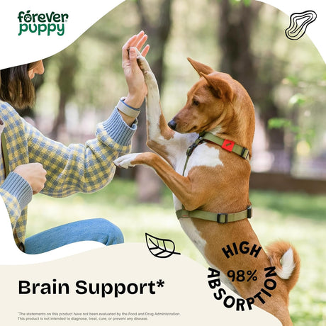 FOREVER PUPPY - Forever Puppy Lion's Mane Mushroom Supplement for Dogs 4 Fl.Oz. - The Red Vitamin MX - Suplementos Herbales Para Perros - {{ shop.shopifyCountryName }}