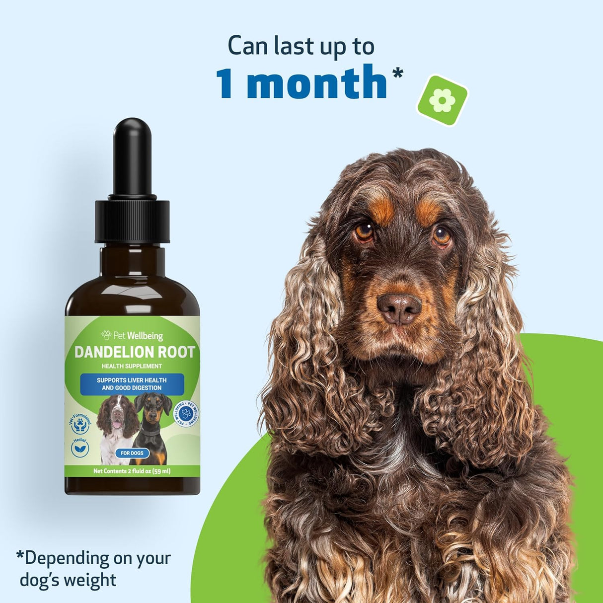 Pet Wellbeing Dandelion Root for Dogs Liver & Heart Health 2 Fl.Oz.