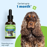 Pet Wellbeing Dandelion Root for Dogs Liver & Heart Health 2 Fl.Oz.