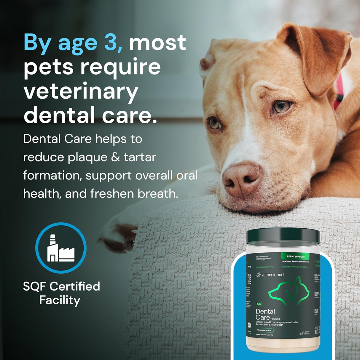 VetriScience Dental Care Powder 453Gr.