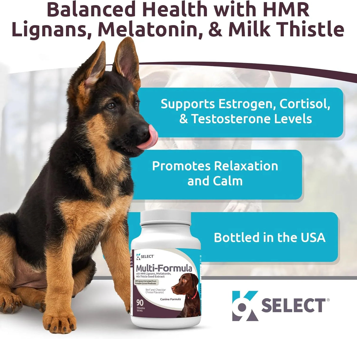 K9 SELECT - K9 Select Multi-Formula Dog Vitamins for Large Dogs Beef Flavor 90 Tabletas - The Red Vitamin MX - Multivitamínicos Para Perros - {{ shop.shopifyCountryName }}