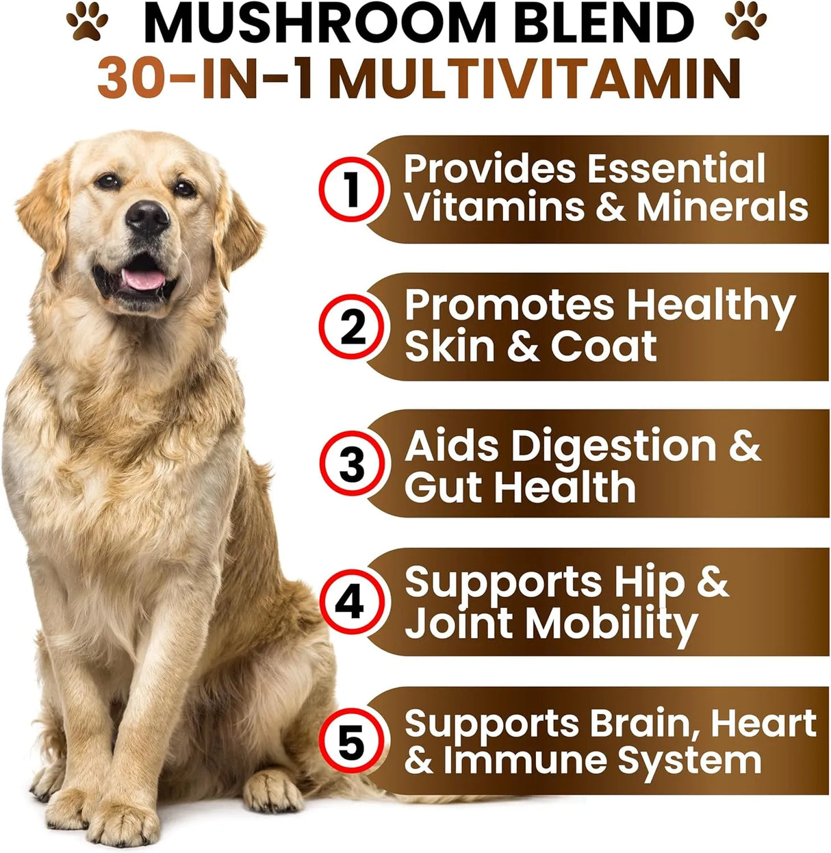 GRATEFUL PAWZ - Grateful Pawz Dog Mushroom Multivitamin Chewable 170 Masticables - The Red Vitamin MX - Multivitamínicos Para Perros - {{ shop.shopifyCountryName }}
