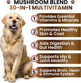GRATEFUL PAWZ - Grateful Pawz Dog Mushroom Multivitamin Chewable 170 Masticables - The Red Vitamin MX - Multivitamínicos Para Perros - {{ shop.shopifyCountryName }}