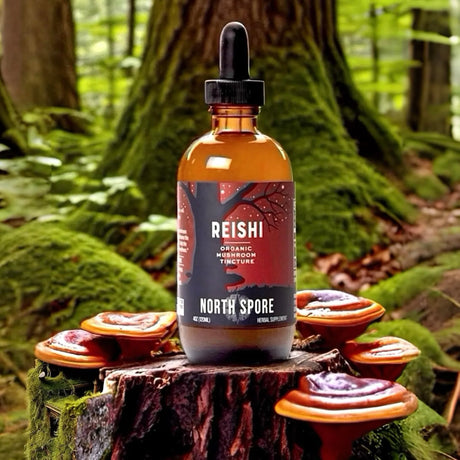 NORTH SPORE - North Spore Organic Reishi Mushroom Tincture 2 Fl.Oz. - The Red Vitamin MX - Suplementos Alimenticios - {{ shop.shopifyCountryName }}