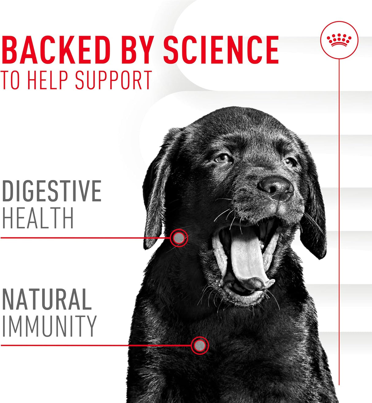 Royal Canin Puppy Supplement Immunity & Digestion Chew 60 Masticables