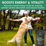HOLISTIC BIN - HOLISTIC BIN Canine Super Immune Support 100Gr. - The Red Vitamin MX - Suplementos Herbales Para Perros - {{ shop.shopifyCountryName }}