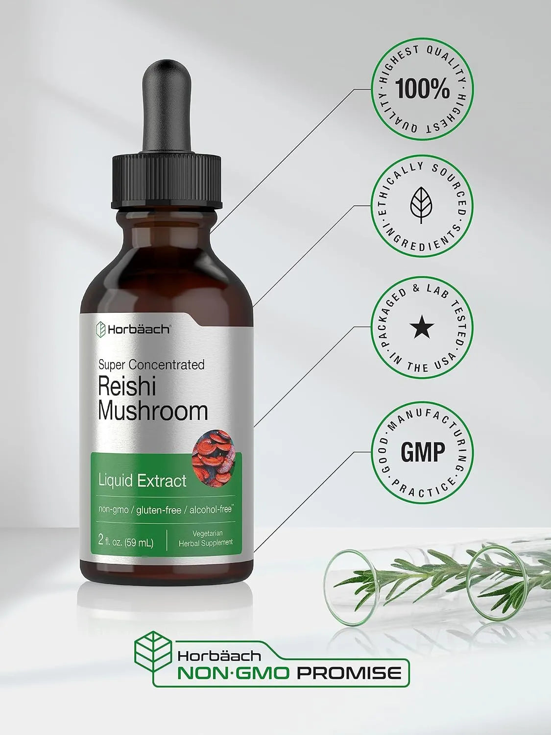 HORBAACH - Horbaach Reishi Mushroom Extract Tincture 2 Fl.Oz. - The Red Vitamin MX - Suplementos Alimenticios - {{ shop.shopifyCountryName }}