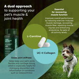 ROOTED OWL - Rooted Owl Joint and Muscle Support for Cats and Small Dogs 30 Capsulas - The Red Vitamin MX - Cuidado De Cadera Y Articulaciones Para Perros - {{ shop.shopifyCountryName }}